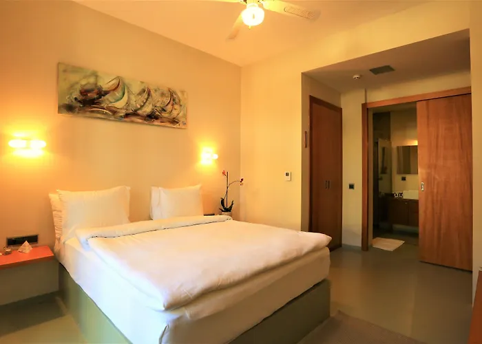 酒店 The Lifeco Bodrum Well-being Detox Center And Vegan (adults Only) 古托克布库