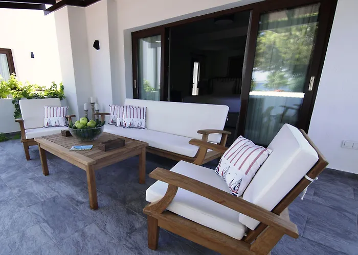 酒店 The Lifeco Bodrum Well-being Detox Center And Vegan (adults Only) 3*
