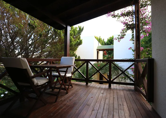 酒店 The Lifeco Bodrum Well-being Detox Center And Vegan (adults Only)