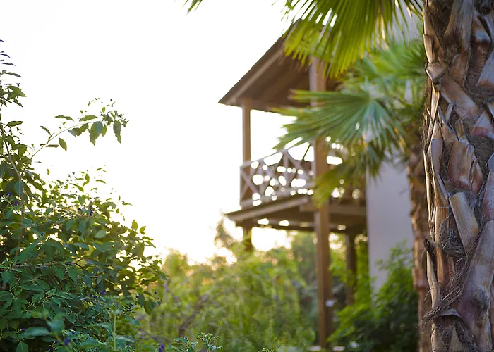 The Lifeco Bodrum Well-being Detox Center And Vegan (adults Only) 酒店 3*