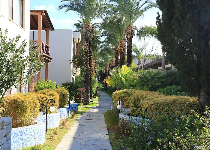 酒店 The Lifeco Bodrum Well-being Detox Center And Vegan (adults Only)
