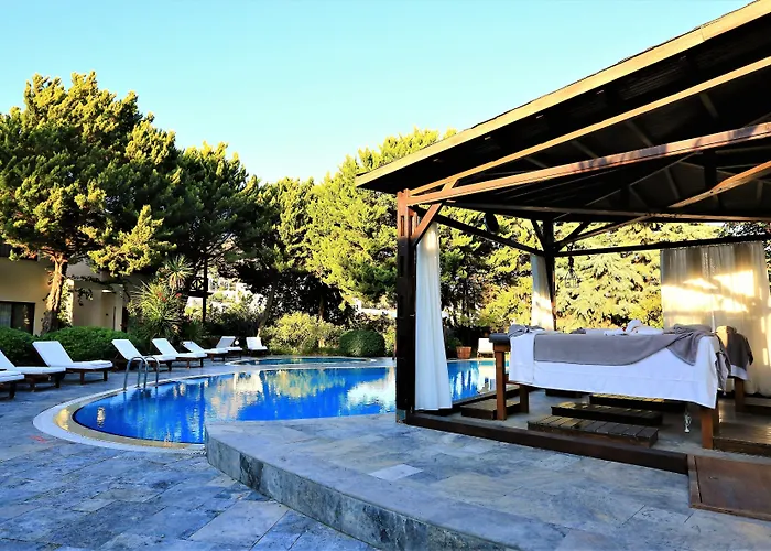 The Lifeco Bodrum Well-being Detox Center And Vegan (adults Only) Szálloda Golturkbuku