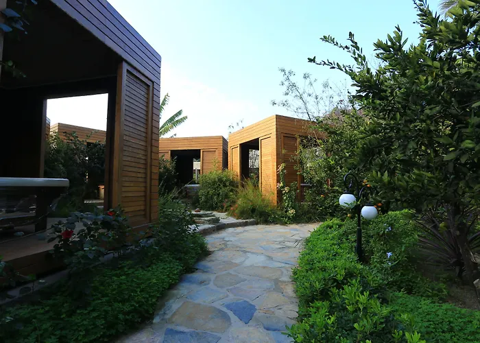 The Lifeco Bodrum Well-being Detox Center And Vegan (adults Only)