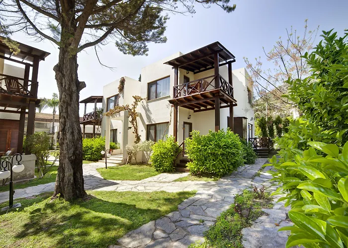 The Lifeco Bodrum Well-being Detox Center And Vegan (adults Only) 酒店 3*