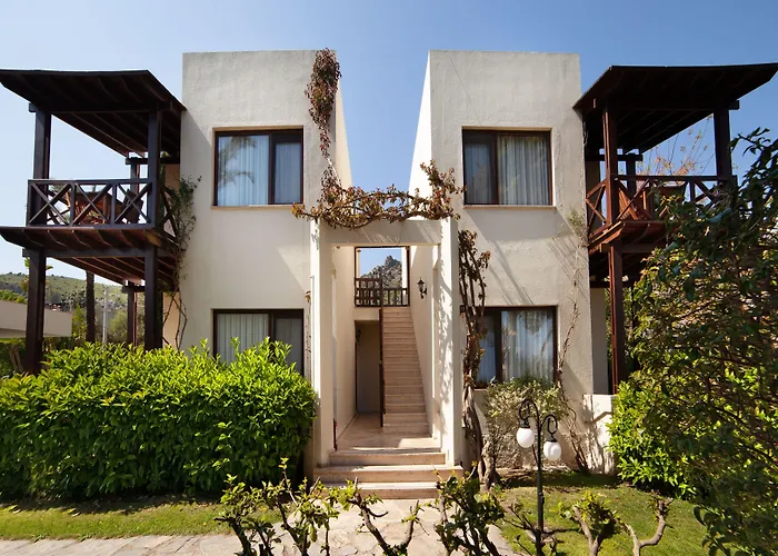 酒店 The Lifeco Bodrum Well-being Detox Center And Vegan (adults Only)