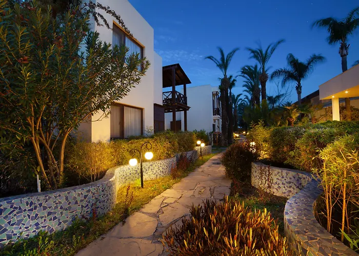 酒店 The Lifeco Bodrum Well-being Detox Center And Vegan (adults Only) 古托克布库