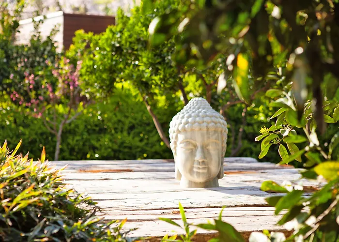 酒店 The Lifeco Bodrum Well-being Detox Center And Vegan (adults Only)