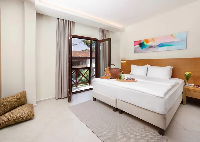 酒店 The Lifeco Bodrum Well-being Detox Center And Vegan (adults Only) 古托克布库
