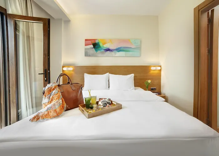 酒店 The Lifeco Bodrum Well-being Detox Center And Vegan (adults Only) 3*