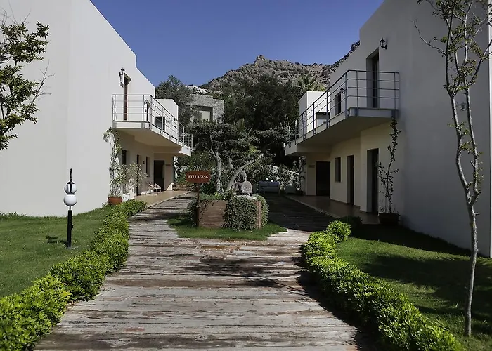 The Lifeco Bodrum Well-being Detox Center And Vegan (adults Only)