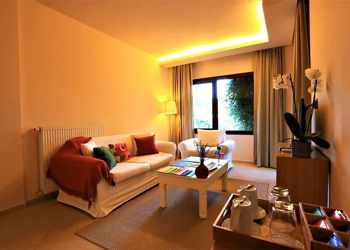 酒店 The Lifeco Bodrum Well-being Detox Center And Vegan (adults Only) 3*