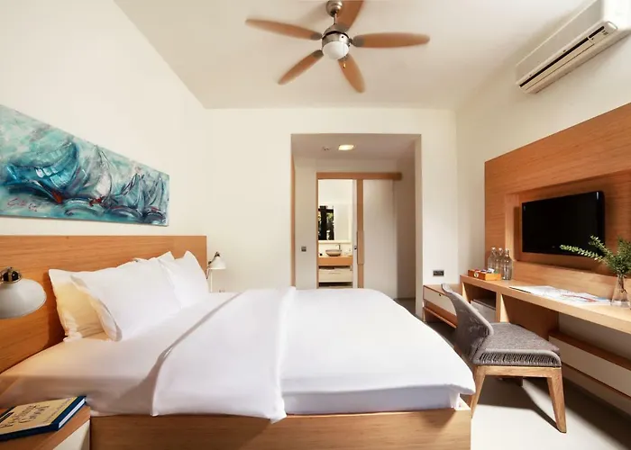 酒店 The Lifeco Bodrum Well-being Detox Center And Vegan (adults Only)